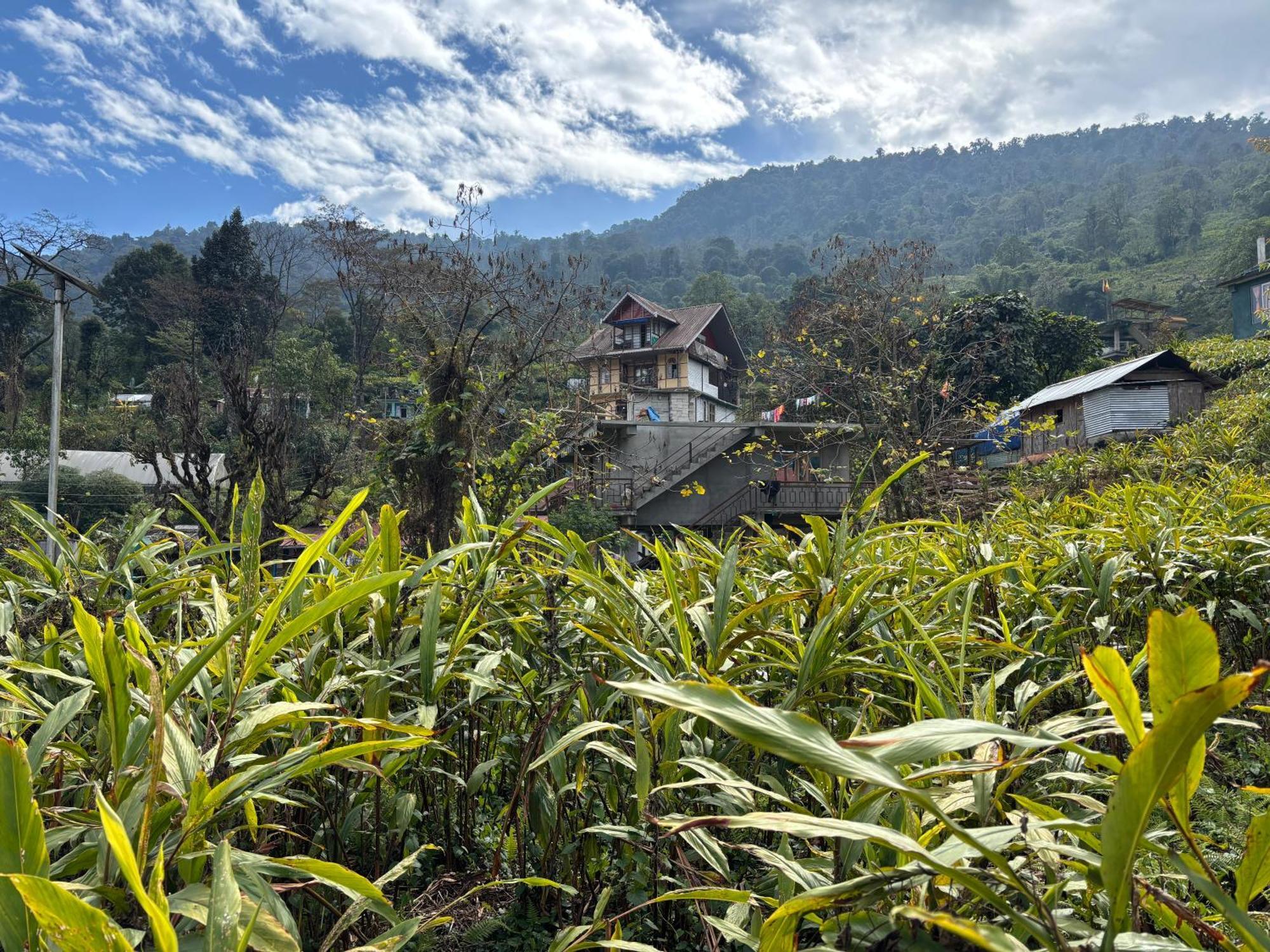 Apartamento Odyssey'S Darap Eco Retreat Pelling Exterior foto